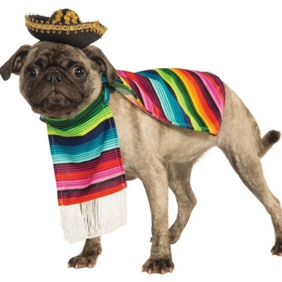 Morris Costumes Other - Poncho And Sombrero Pet Halloween Costume